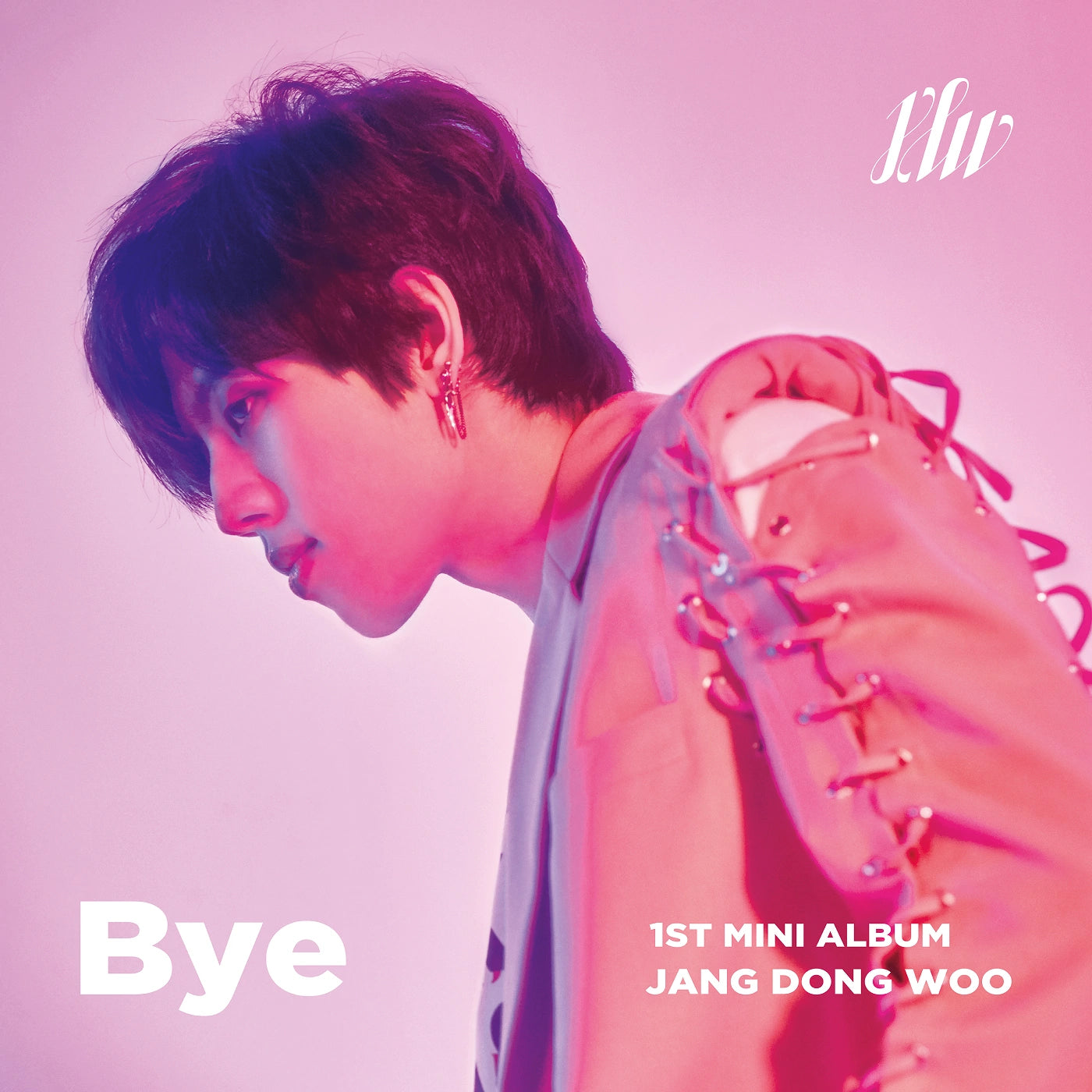Jang Dong Woo - Bye