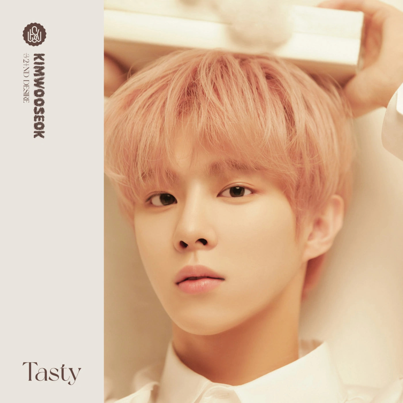 Kim Woo Seok - 2nd Desire: Tasty